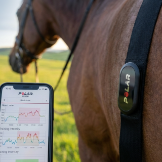 Entrenamiento Equino Monitorizado