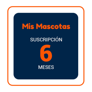 Pago semestral